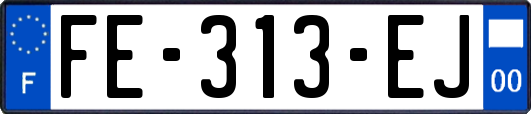 FE-313-EJ
