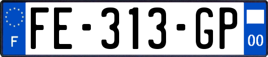 FE-313-GP