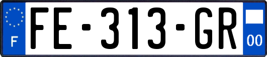 FE-313-GR