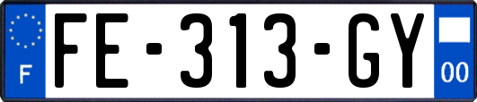 FE-313-GY