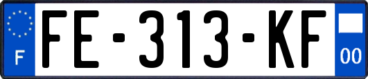 FE-313-KF