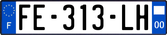 FE-313-LH