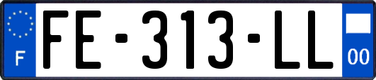FE-313-LL