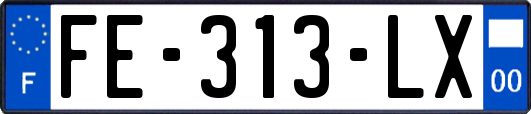FE-313-LX