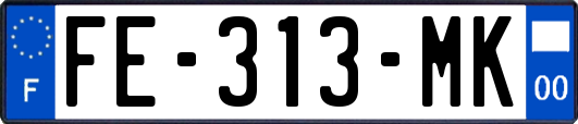 FE-313-MK