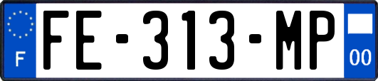 FE-313-MP
