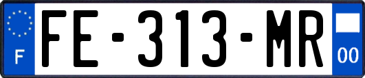 FE-313-MR