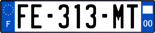FE-313-MT