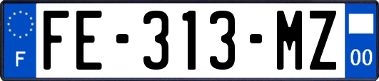 FE-313-MZ