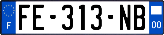 FE-313-NB