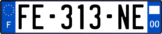 FE-313-NE