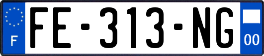FE-313-NG
