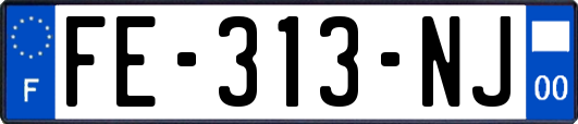 FE-313-NJ