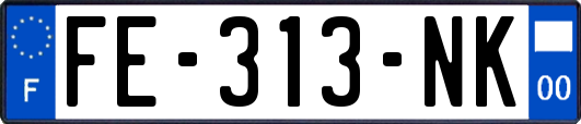 FE-313-NK