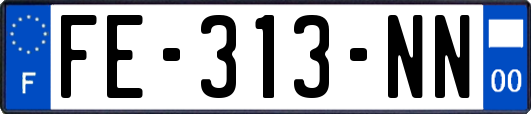 FE-313-NN