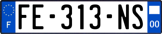 FE-313-NS