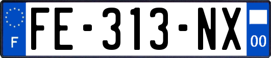 FE-313-NX