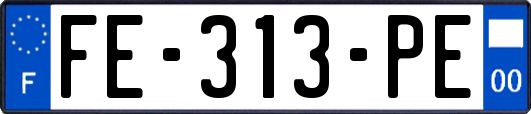 FE-313-PE