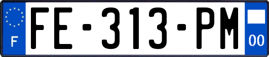 FE-313-PM