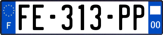 FE-313-PP
