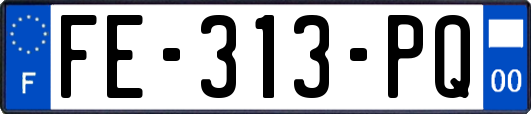 FE-313-PQ