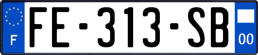 FE-313-SB