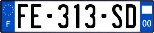 FE-313-SD