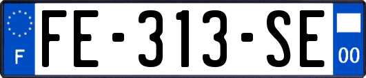 FE-313-SE