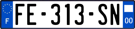 FE-313-SN