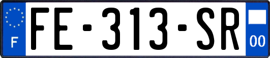 FE-313-SR