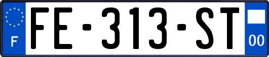 FE-313-ST