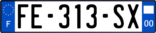 FE-313-SX