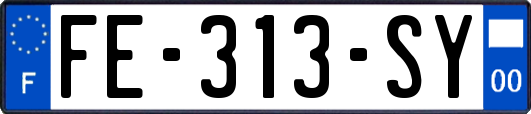 FE-313-SY