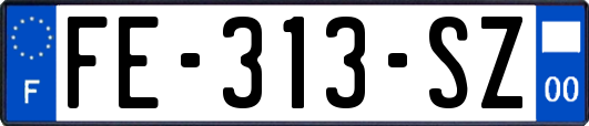 FE-313-SZ