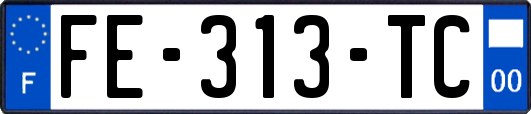 FE-313-TC