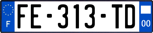 FE-313-TD