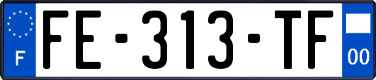 FE-313-TF
