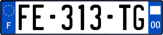 FE-313-TG