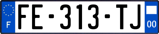 FE-313-TJ
