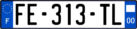 FE-313-TL