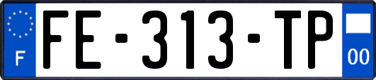 FE-313-TP