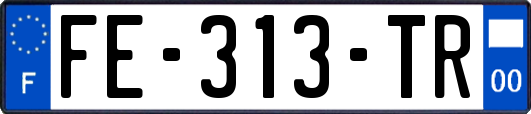 FE-313-TR