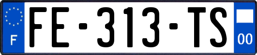 FE-313-TS