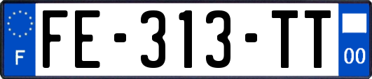 FE-313-TT