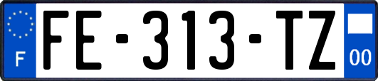 FE-313-TZ