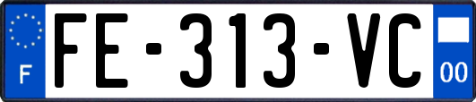 FE-313-VC