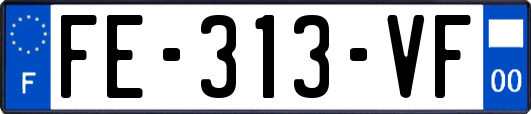 FE-313-VF