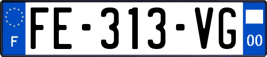 FE-313-VG