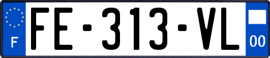 FE-313-VL