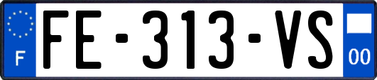 FE-313-VS